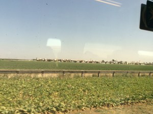 Andalusian countryside from train